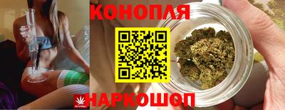 мяу мяу мука Малоярославец