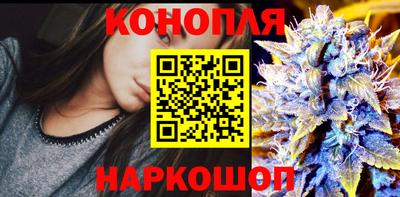 прущие крисы Малгобек