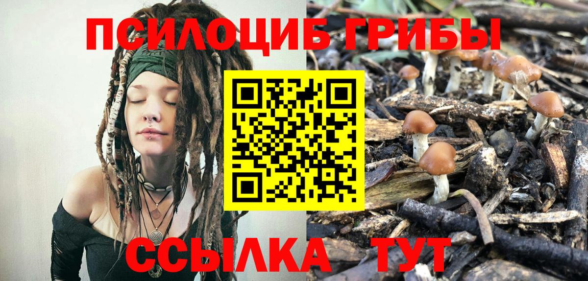 Псилоцибиновые грибы Magic Shrooms  Вход с VPN  Саянск 