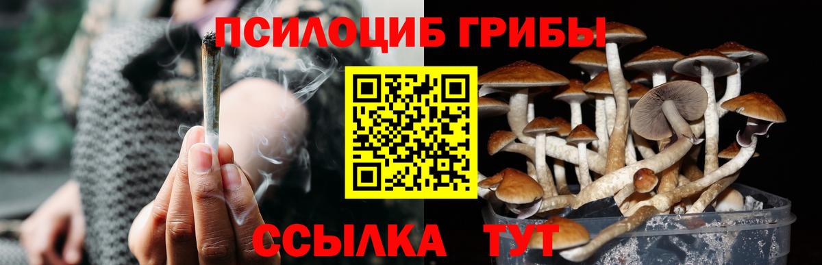 Галлюциногенные грибы Cubensis Саянск